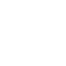 Twitter Icon